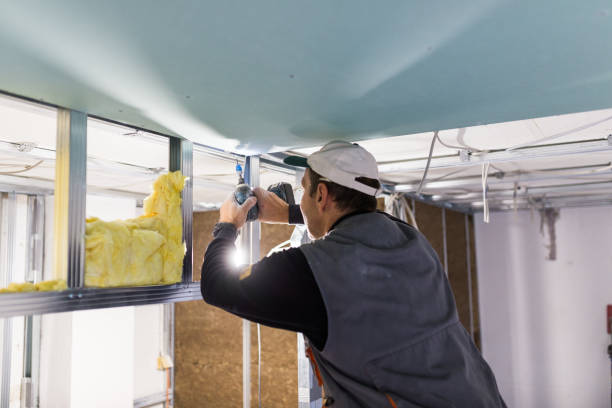Best Residential Insulation Services  in Riverside, CA